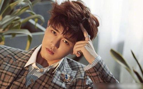 娱乐吃瓜君任嘉伦,娱乐吃瓜界的“瓜王”传奇 第1张 娱乐吃瓜君任嘉伦,娱乐吃瓜界的“瓜王”传奇 第1张