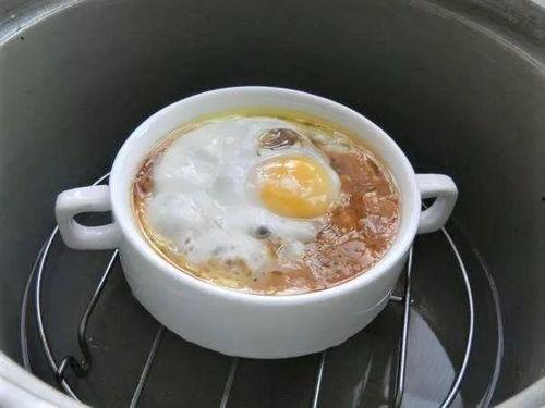 娱乐吃瓜酱鸡蛋羹 第2张 娱乐吃瓜酱鸡蛋羹 第2张